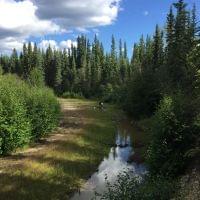 Lade das Bild in den Galerie-Viewer, KLONDIKE-GOLDMINE (87 CLAIMS AUF 570 HA) MIT ABBAUERLAUBNIS
